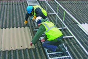 ROOF ACCESS SYSTEMS